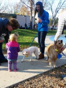 certified dog walking company grand rapids mi