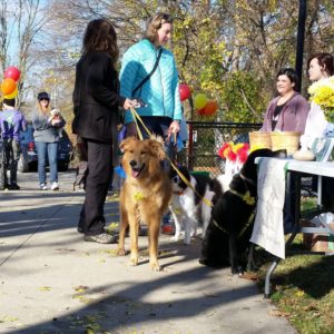 doggie daycare grand rapids