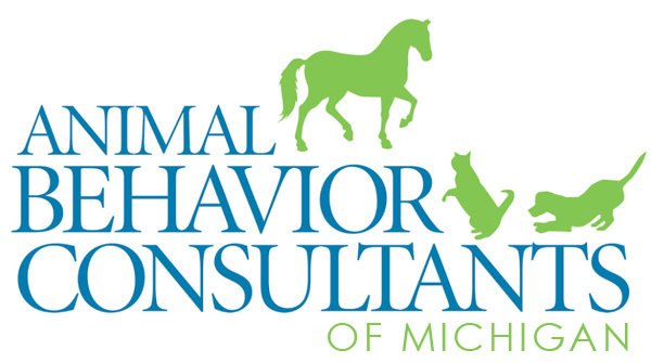 abcofnm-logo