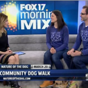 grand rapids dog walking boarding daycare