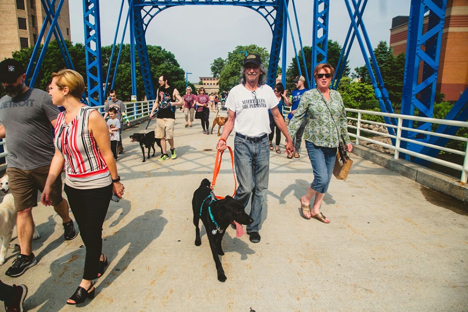 downtown dog park gr dog walkers