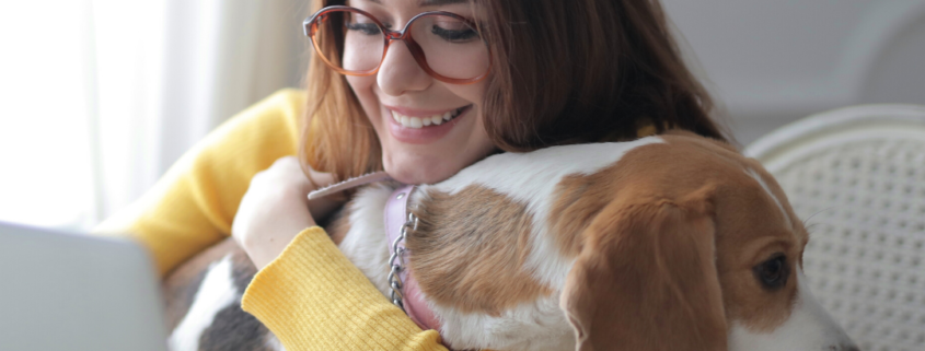 Working from home with a dog